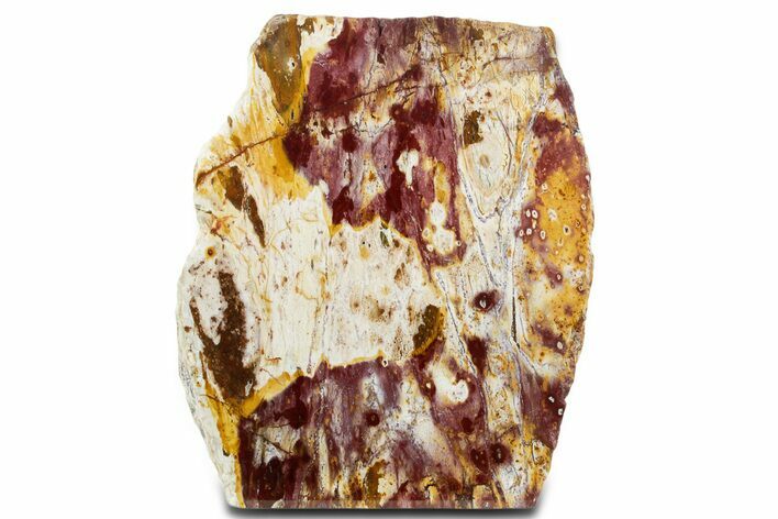 Free-Standing Polished Killaloe Opal Section - Australia #353868